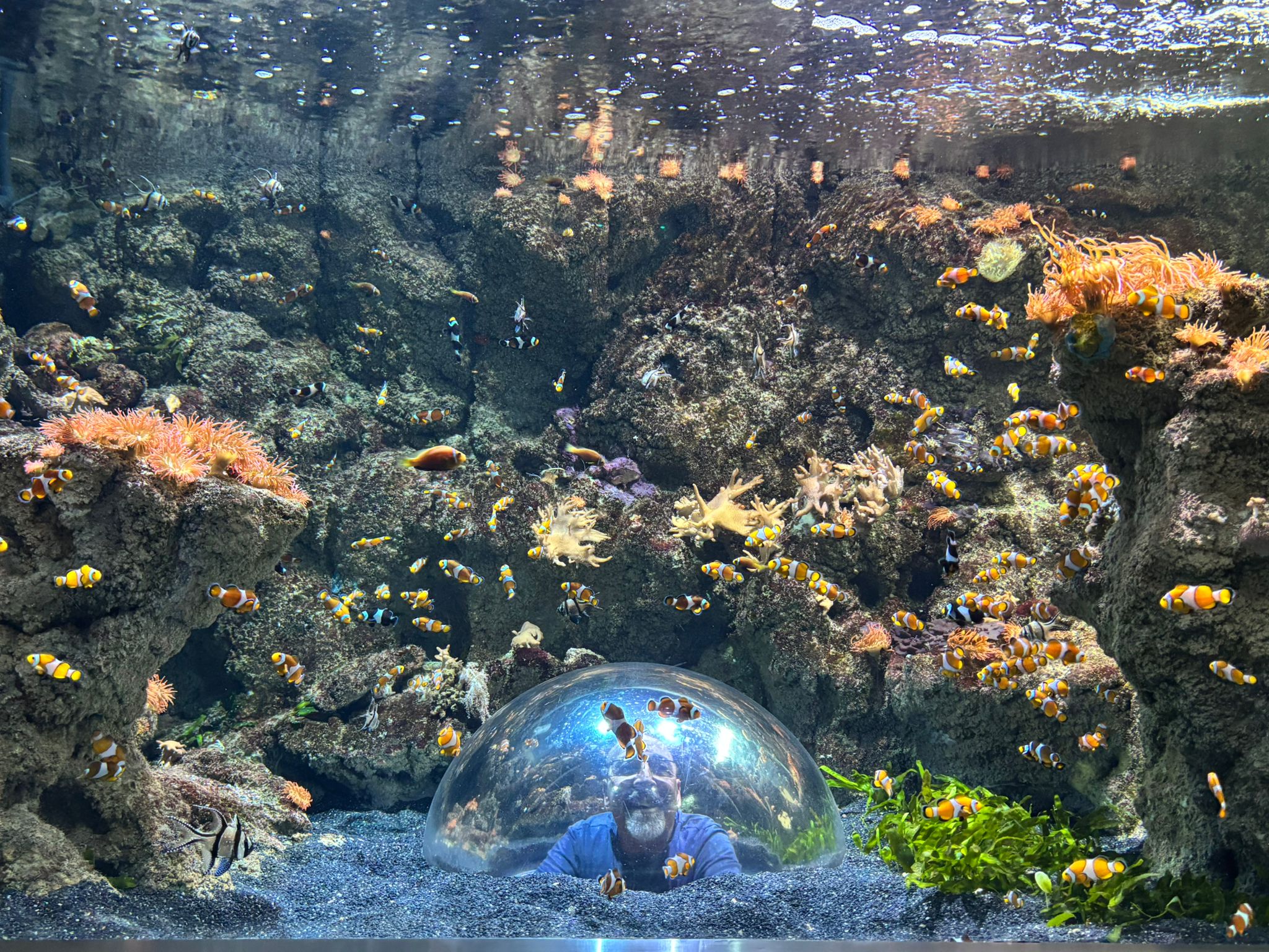 Niño de cuidados paliativos Fundación porqueViven sonríe bajo la cúpula del acuario, rodeado de peces y corales