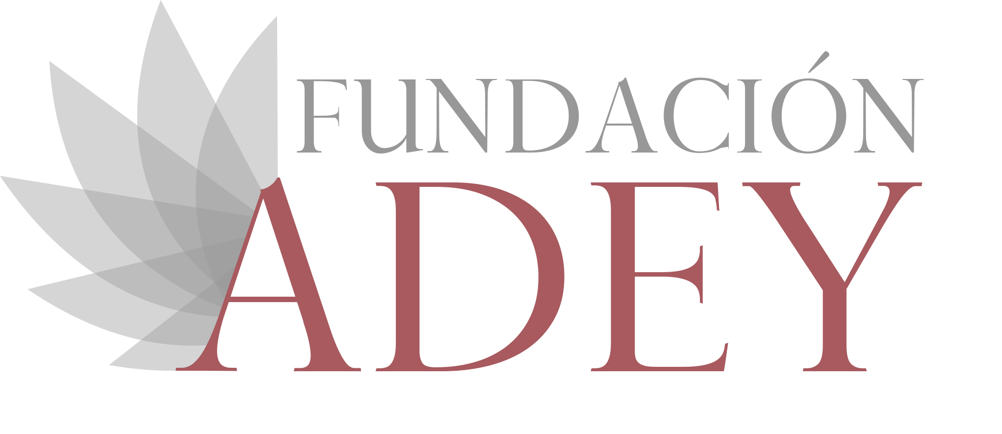 Fundación ADEY